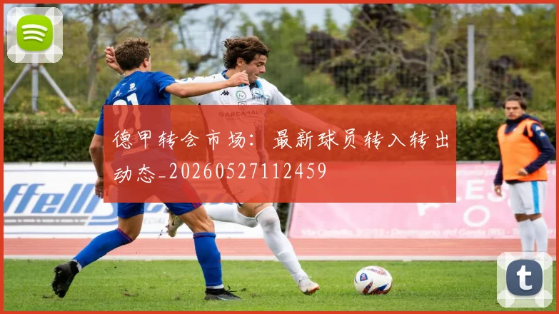 德甲转会市场:最新球员转入转出动态_20260527112459