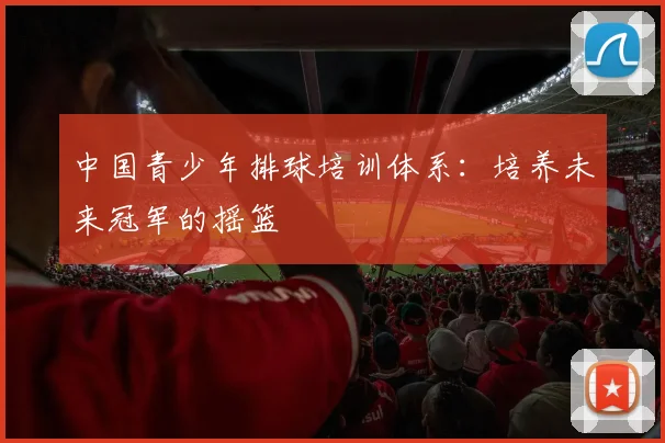 中国青少年排球培训体系：培养未来冠军的摇篮