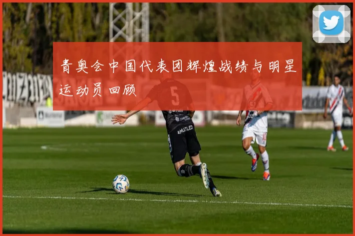 青奥会中国代表团辉煌战绩与明星运动员回顾